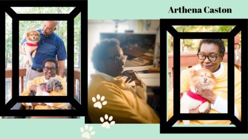 Doggies for Dementia-Arthena