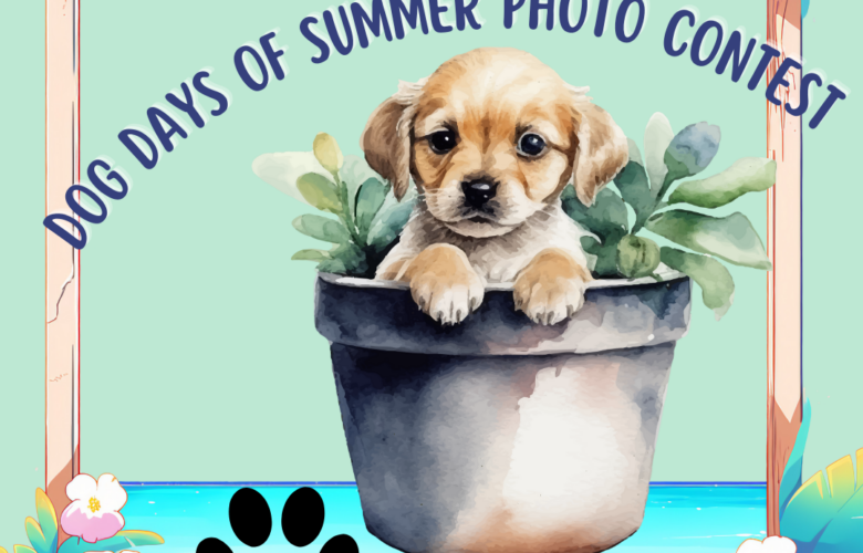 Dog Days of Summer-Vote Now